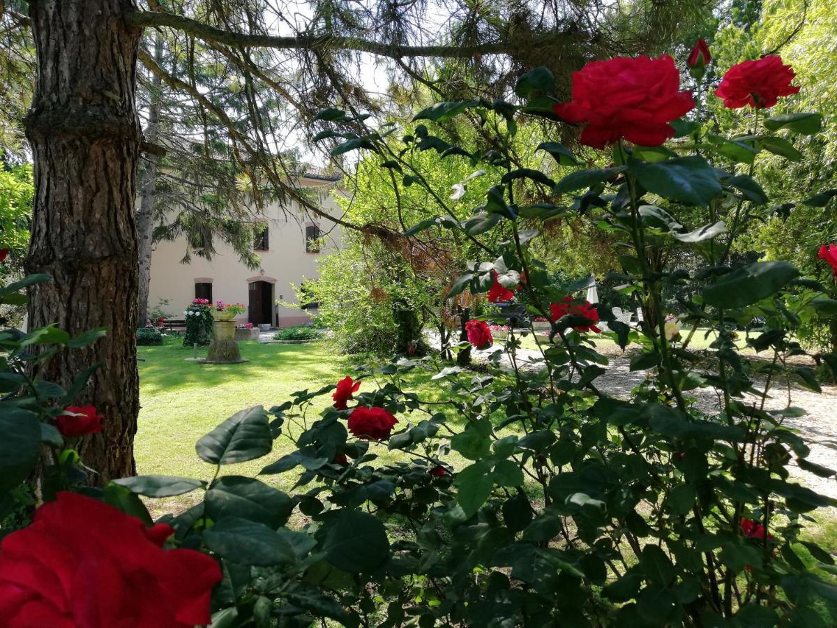 B&B Casa Manuela Mantova Esterno foto