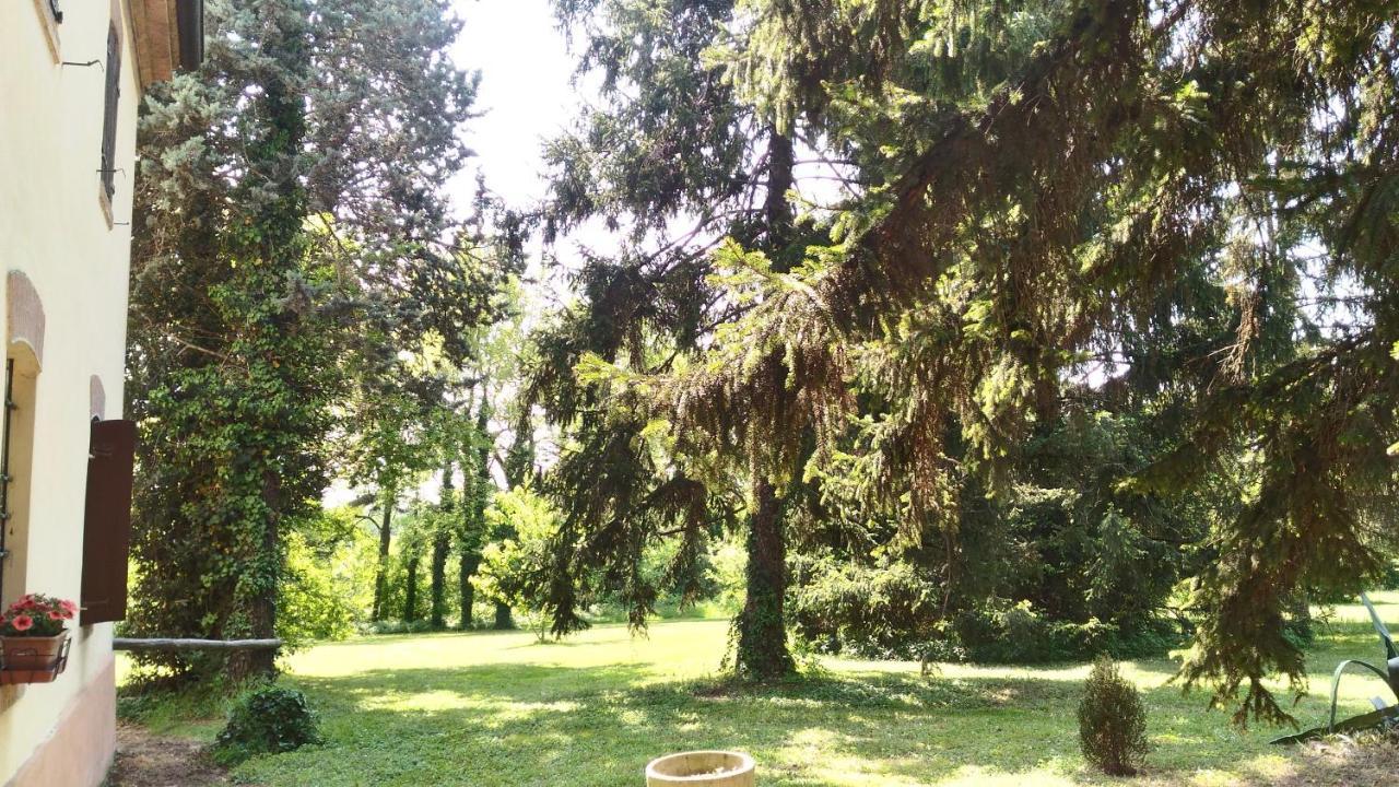 B&B Casa Manuela Mantova Esterno foto